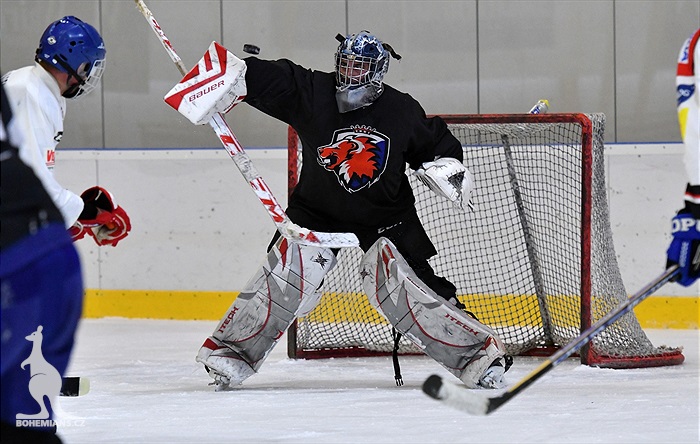 Klokani po roce opět na ledě