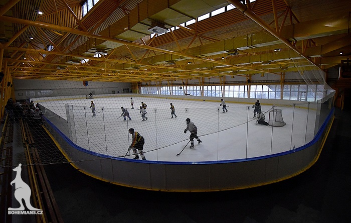 Klokani po roce opět na ledě