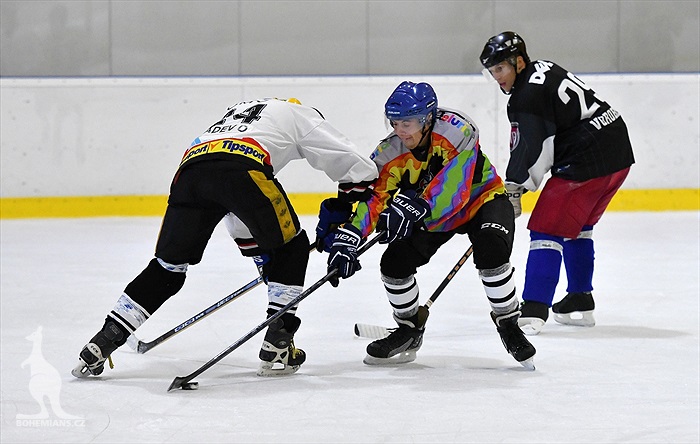 Klokani po roce opět na ledě