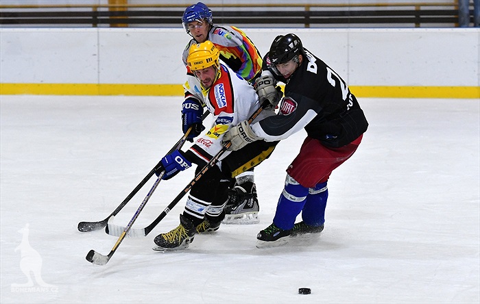 Klokani po roce opět na ledě