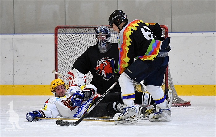 Klokani po roce opět na ledě