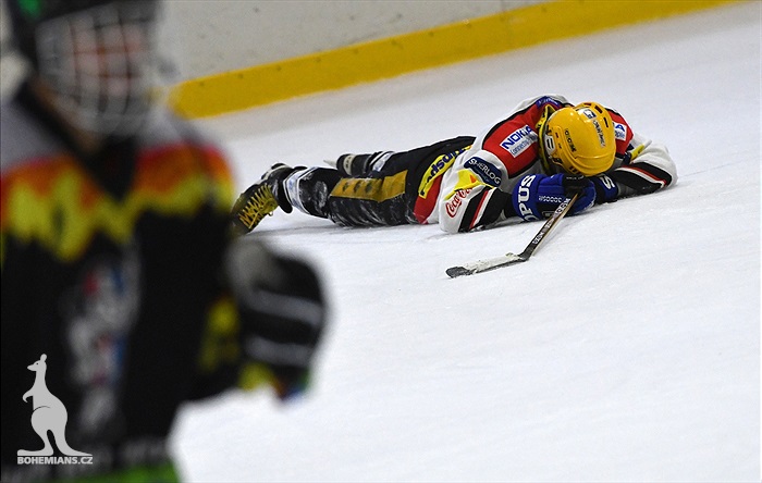 Klokani po roce opět na ledě