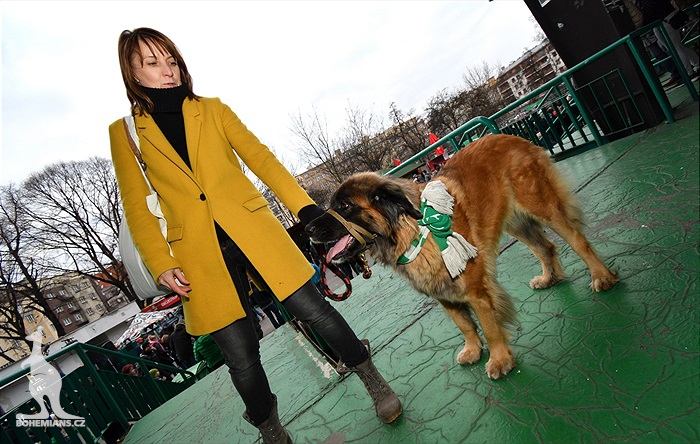 Vánoce s Klokanem 2017