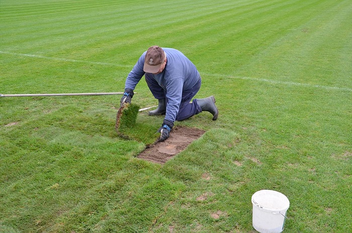 Výměna části trávníku v Ďolíčku